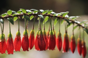 佛山顺德区3私人快速借钱网，轻松解决资金难题
