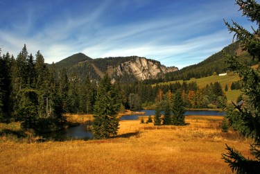 佛山顺德区3民间私贷攻略：揭秘低成本借贷的秘密