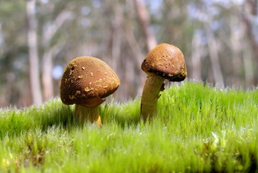 佛山顺德区3私人老板放款：轻松融资的秘密通道